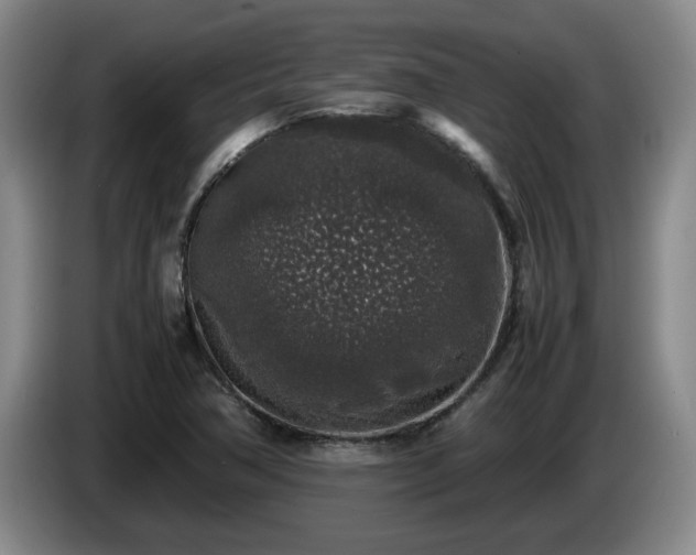 X0000085071362200703121633