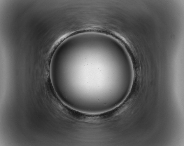 X0000085071363200703121633