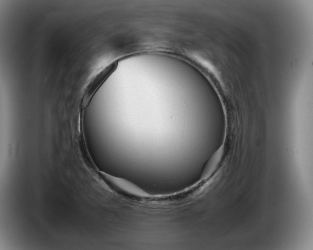 X0000085071365200703121633