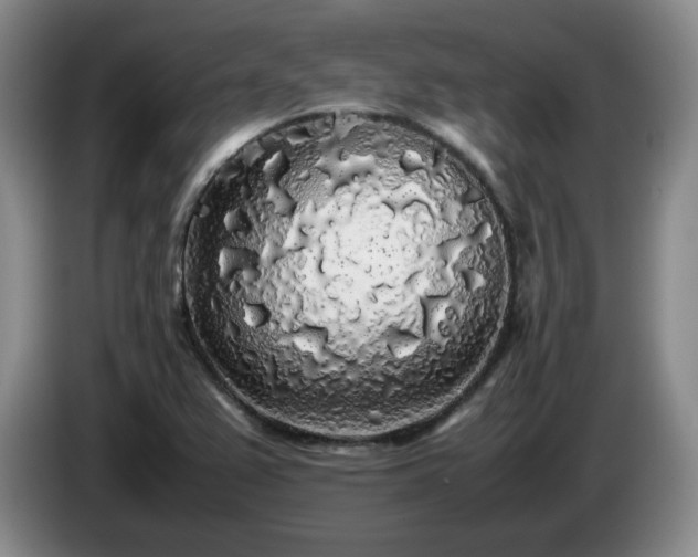 X0000085071367200703121633