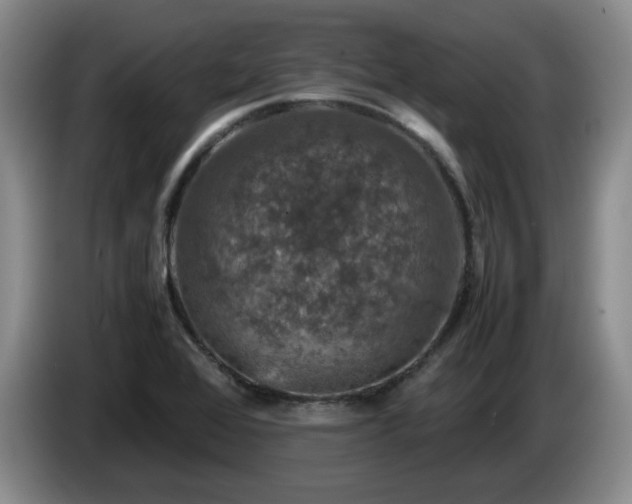 X0000085071368200703121633