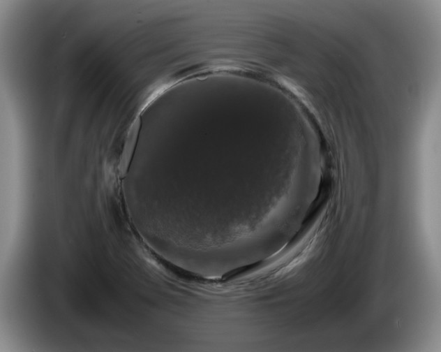 X0000085071369200703121633