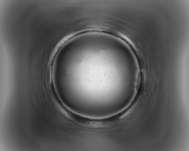 X0000085071371200703121633