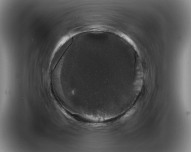 X0000085071373200703121633