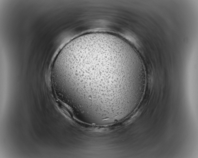 X0000085071374200703121633