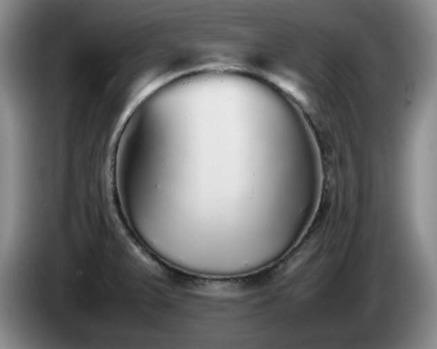 X0000085071375200703121633