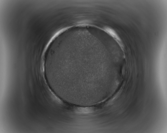 X0000085071376200703121633