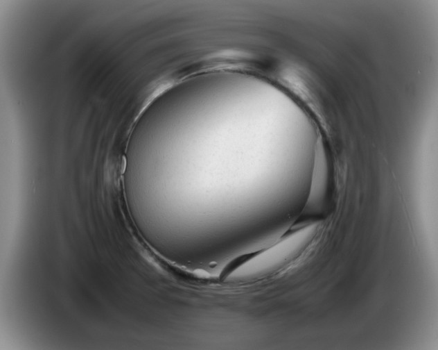 X0000085071377200703121633