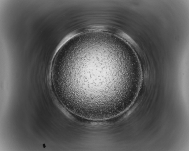 X0000085071378200703121633