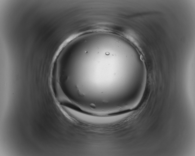 X0000085071379200703121633