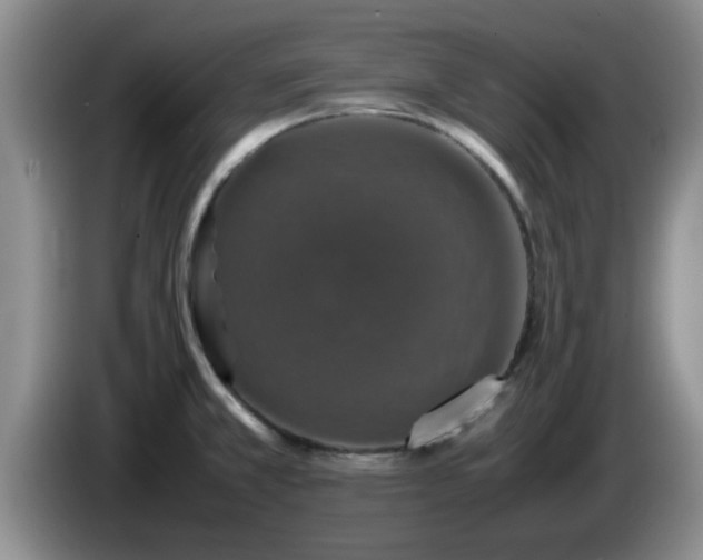 X0000085071381200703121633