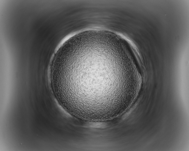 X0000085071382200703121633