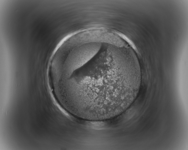 X0000085071383200703121633