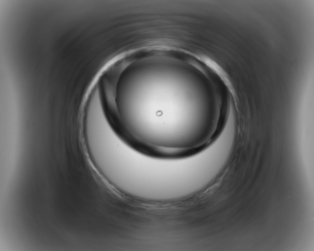 X0000085071384200703121633