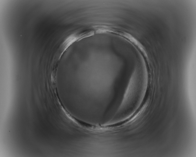 X0000085071385200703121633