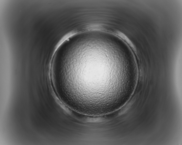 X0000085071386200703121633