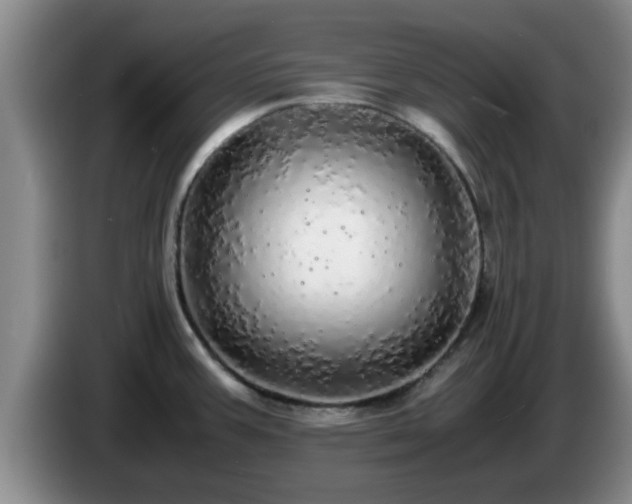 X0000085071387200703121633