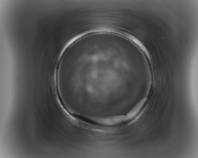 X0000085071388200703121632