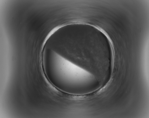 X0000085071389200703121632