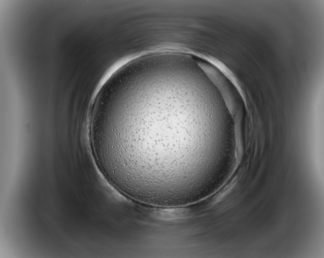 X0000085071390200703121632