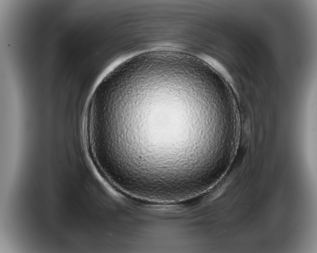 X0000085071391200703121632