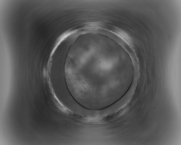 X0000085071392200703121632