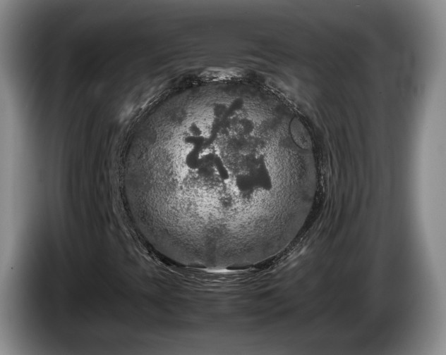 X0000085071393200703121632