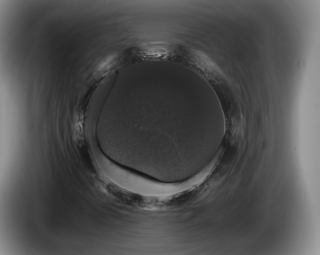 X0000085071394200703121632