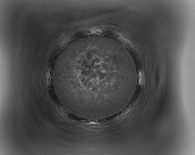 X0000085071395200703121632