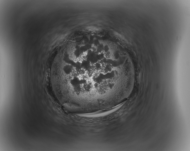 X0000085071397200703121632