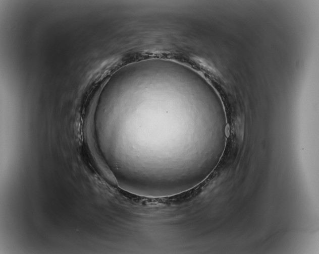 X0000085071398200703121632