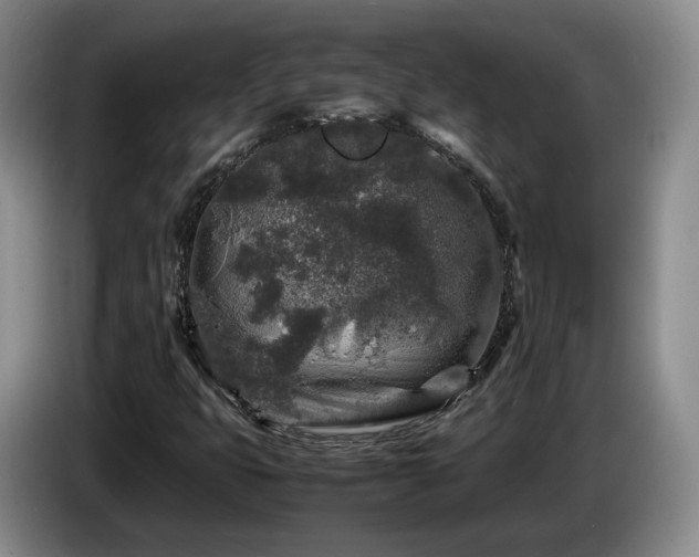 X0000085071399200703121632