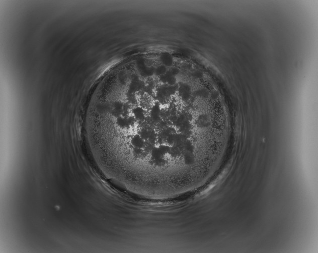 X0000085071401200703121632