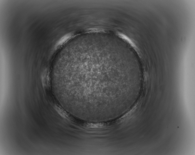 X0000085071403200703121632