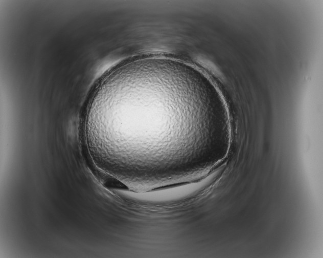 X0000085071404200703121632