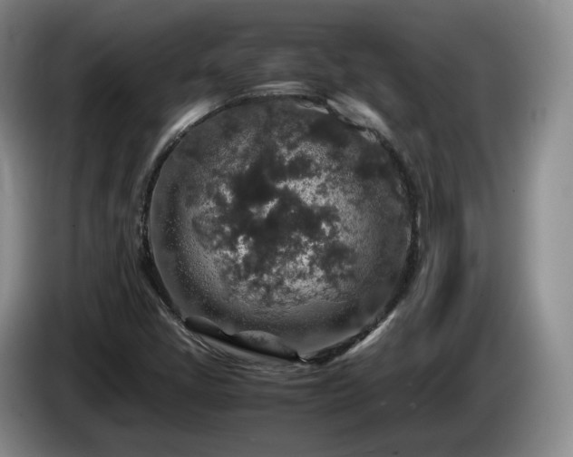 X0000085071405200703121632