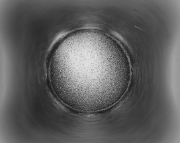 X0000085071408200703121632