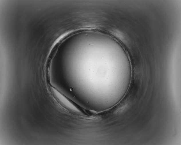 X0000085071412200703121632