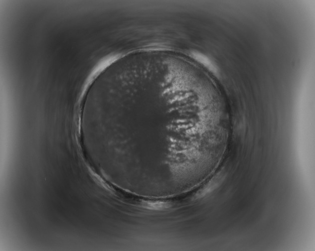 X0000085071413200703121632