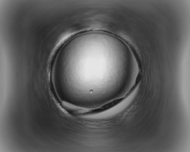 X0000085071416200703121632