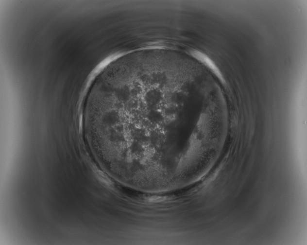 X0000085071419200703121632