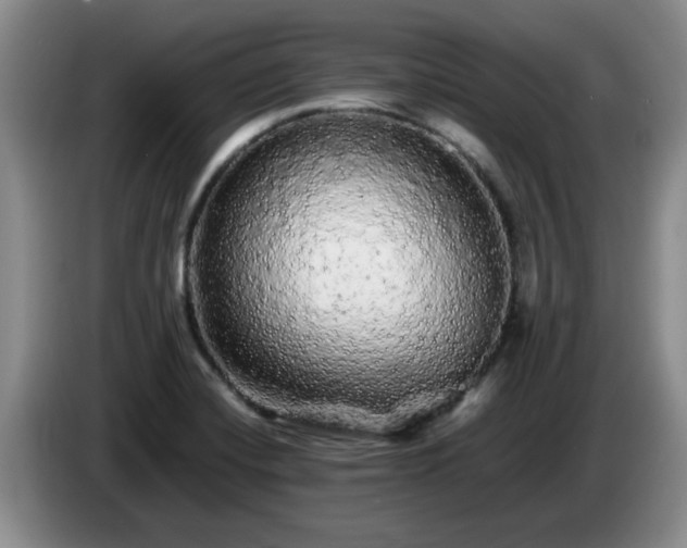 X0000085071420200703121632