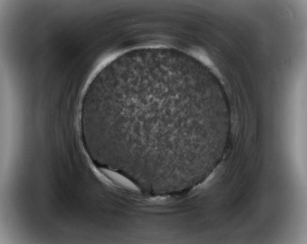 X0000085071421200703121632