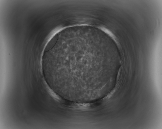 X0000085071423200703121632