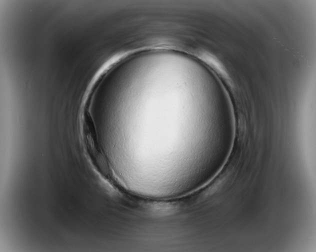 X0000085071424200703121632