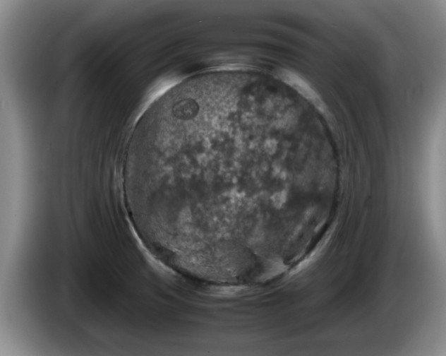 X0000085071425200703121632