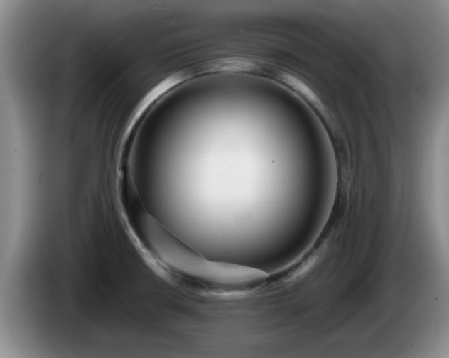 X0000085071426200703121632