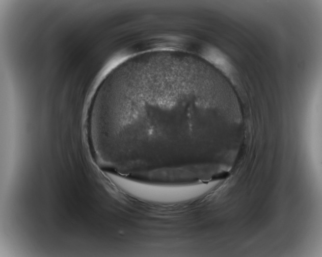 X0000085071427200703121632