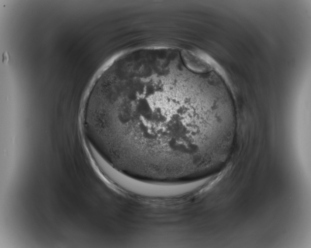 X0000085071429200703121632