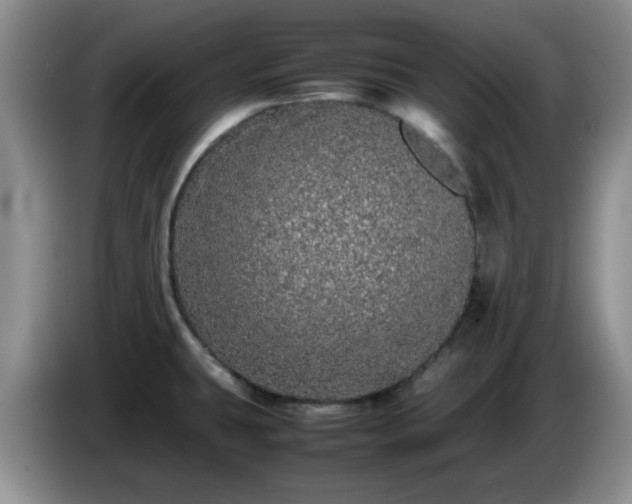 X0000085071431200703121632